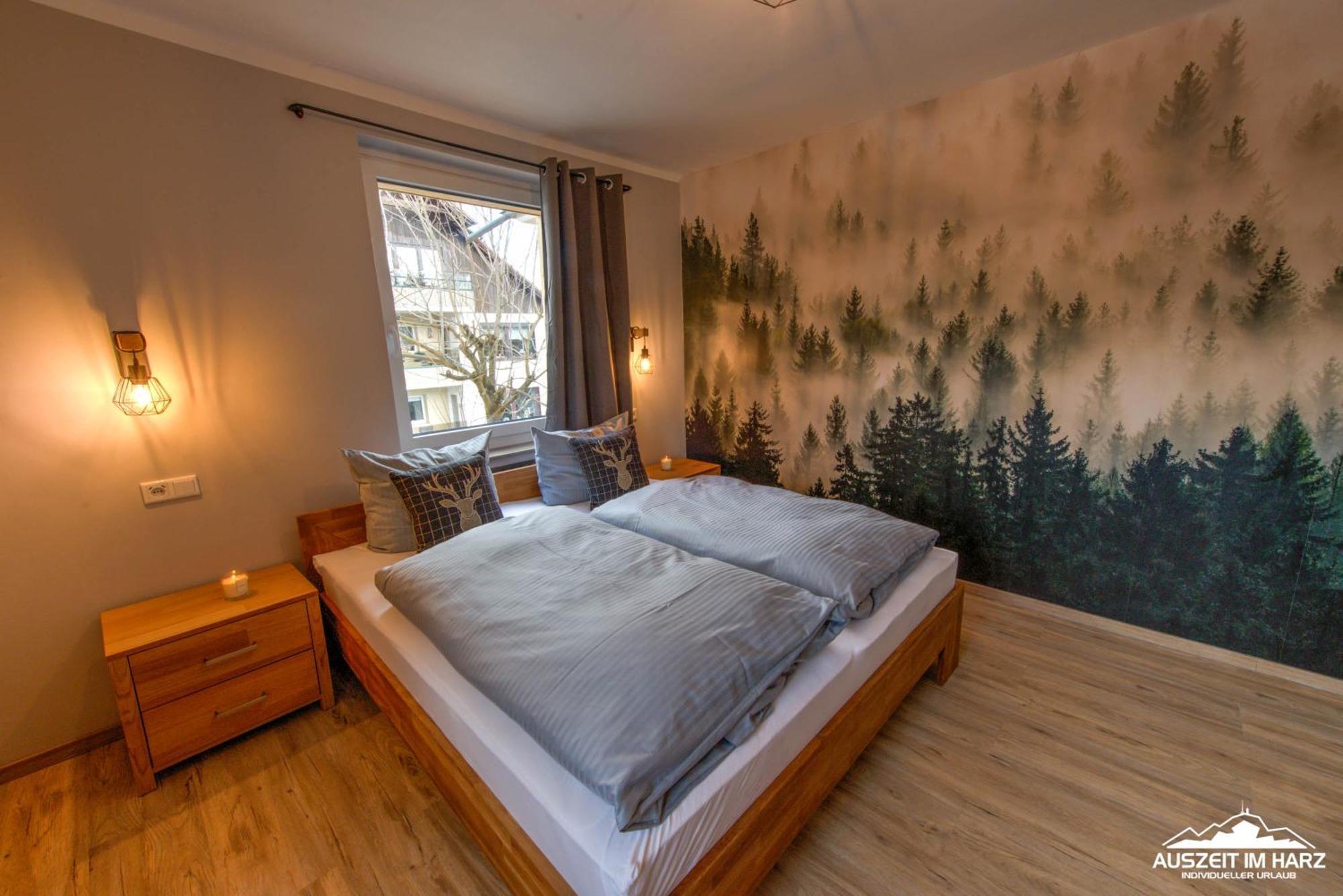 Auszeit-im-harz Haus 3 5 Apartment Braunlage